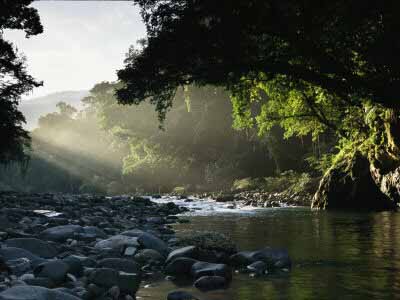 Forest river